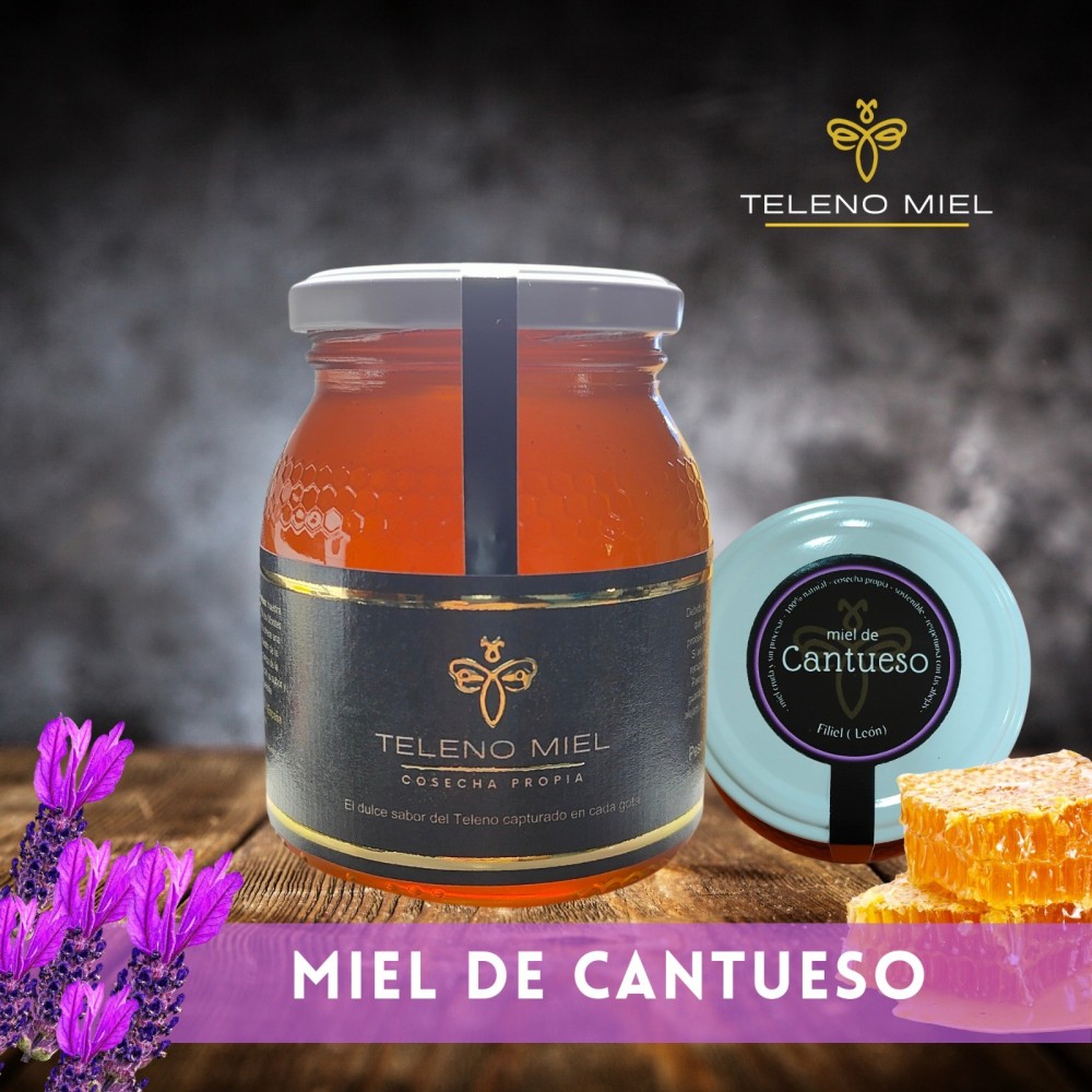 Miel de cantueso formato 500g
