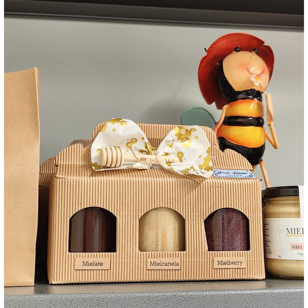 Pack Fusión Sabores (3x250g)