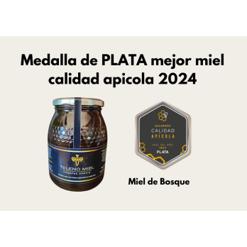 Miel de bosque formato 1 Kg