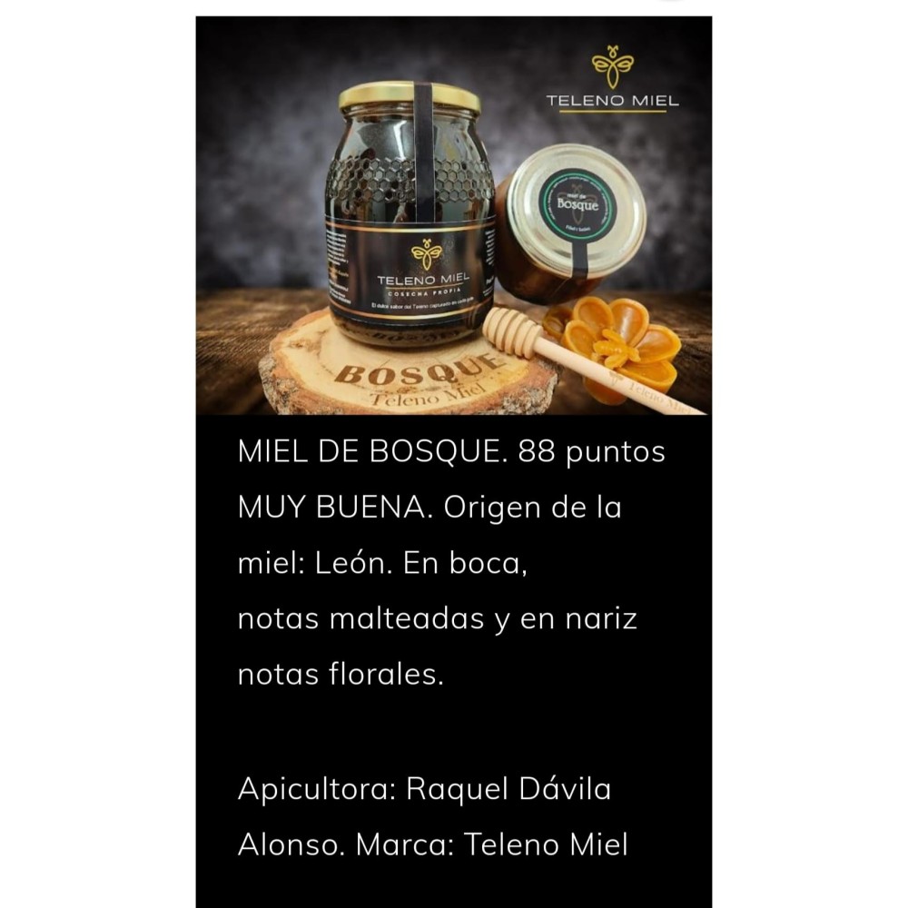 Miel de bosque formato 1 Kg