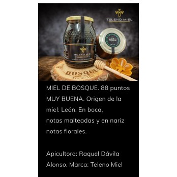 Miel de bosque formato 1 Kg