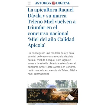 Miel de bosque formato 1 Kg