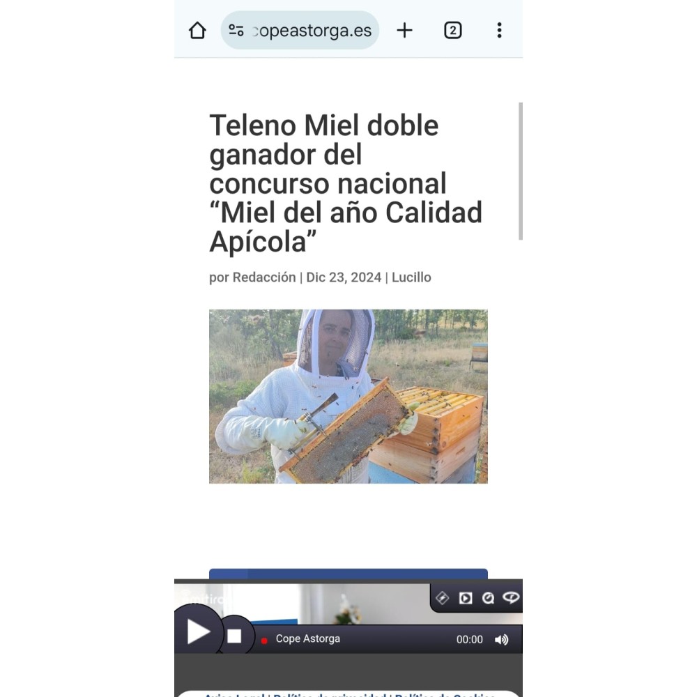 Miel de bosque formato 1 Kg