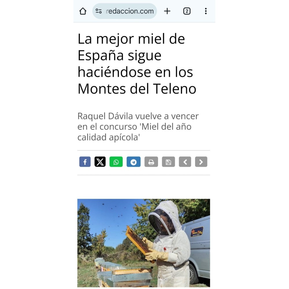 Miel de bosque formato 1 Kg