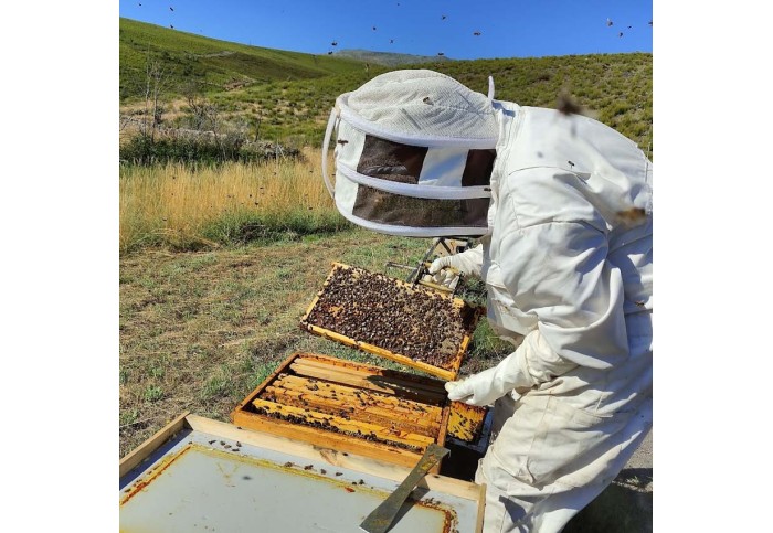  Cómo Se Produce la Miel Artesanal de la Sierra del Teleno